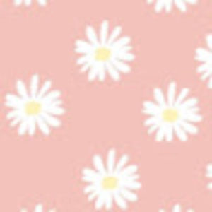 Meet your Posher, Annesly